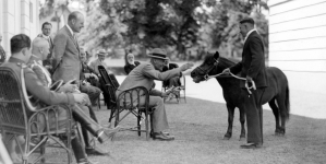 Prezydent RP Ignacy Mościcki ogląda konie w majątku ordynata Alfreda Potockiego w Łańcucie, lipiec 1929 r.)