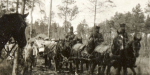 Artyleria Legionów na drodze z Maniewicz na Wołyniu 27.09.1915 r.