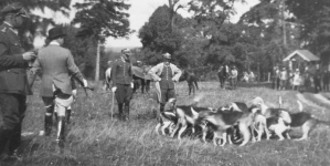 Polowanie konne w ordynacji hrabiego Alfreda Potockiego w Łańcucie w 1931 r.