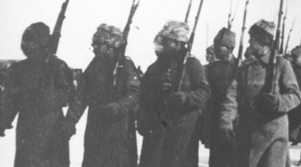  5 Dywizja Syberyjska - przegląd wojska, 1919 r.  