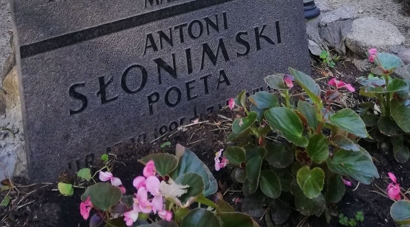  Grób Antoniego Słonimskiego na cmentarzu Zakładu dla Niewidomych w Laskach pod Warszawą.  