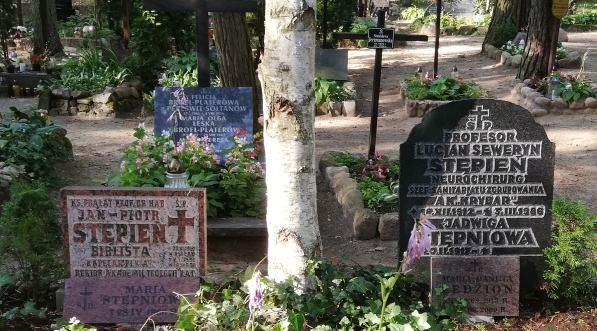  Grób rodziny Stępniów na cmentarzu Zakładu dla Niewidomych w Laskach pod Warszawą.  
