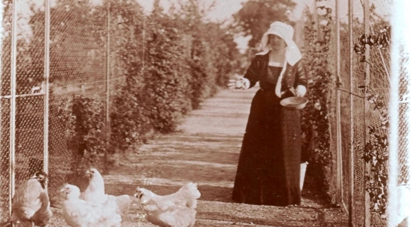  Helena Paderewska na swojej farmie kur rasowych w Riond-Bosson k. Morges w Szwajcarii  