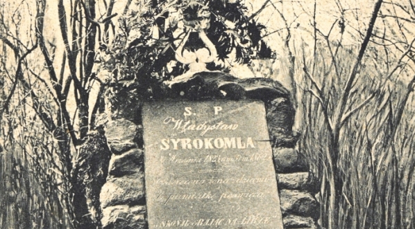  Grób Syrokomli na Rossie w Wilnie.  
