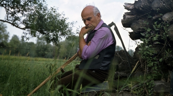  Janusz Kłosiński w filmie "Hotel klasy lux" z 1979 r.  