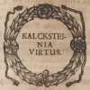 Albrecht Kalkstein (Kalckstein) h. Koss