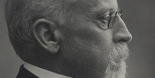 BEZ DYPLOMU ALE Z NOBLEM