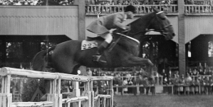 <%# $this->DataItem->marArticleFrom->title %