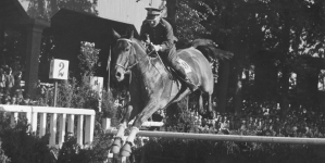 <%# $this->DataItem->marArticleFrom->title %