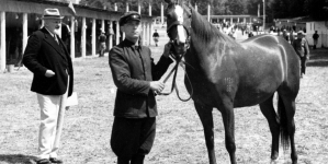 <%# $this->DataItem->marArticleFrom->title %