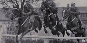 <%# $this->DataItem->marArticleFrom->title %