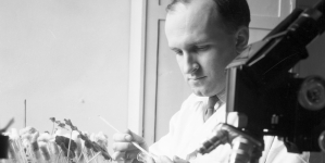 <%# $this->DataItem->marArticleFrom->title %