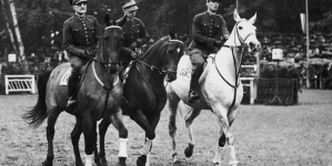 <%# $this->DataItem->marArticleFrom->title %