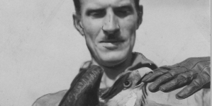 <%# $this->DataItem->marArticleFrom->title %