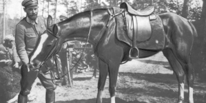 <%# $this->DataItem->marArticleFrom->title %