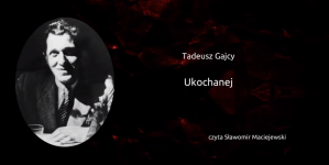"Ukochanej" Tadeusza Gajcego.