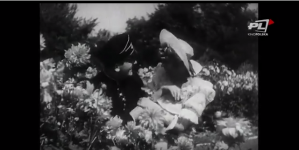 "Gwiazdorskie małżeństwo - Maria Bogda i Adam Brodzisz", cykl "W Iluzjonie" (2).