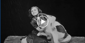 "Bestia" (The Polish Dancer).