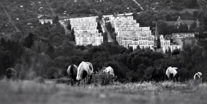 "Tadeusz Różewicz", z cyklu "Szczęśliwy naród, który ma poetę...Polskie wiersze 1918-2018"