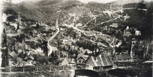 "Bitków.  Ogólny widoki".