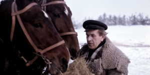 <%# $this->DataItem->marArticleFrom->title %