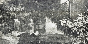 Ś. p. Roman Dmowski, w otwartej trumnie w Drozdowie.