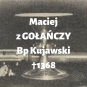 Maciej z Gołańczy h. Pałuka