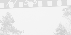 "Polityka morska II Rzeczypospolitej", cykl "Dialogi historyczne".