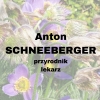 Anton Schneeberger