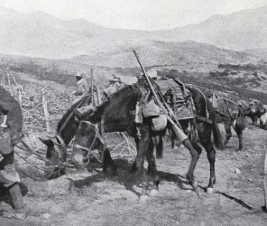  OFENSYWA SPRZYMIERZONYCH W MACEDEONI ZMUSZA BUŁGARIĘ DO KAPITULACJI  
