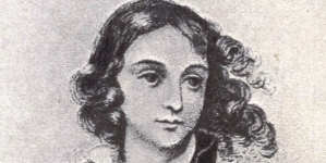 "Emilja Plater : powieść historyczna z XIX w." Wacława Gąsiorowskiego.