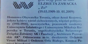 Tablica przy pomniku Elżbiety Zawackiej w Toruniu.