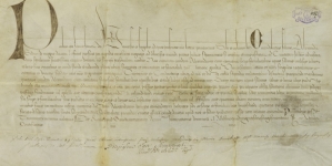 Paszport Aleksandrowicz Sołtana podróżującego do Jerozolimy