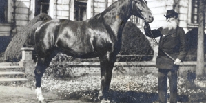 Portret Mieczysława Kwileckiego z koniem.