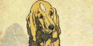 "Bohater Cis" Kazimierza Rosinkiewicza.