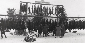 Polowanie w ordynacji księcia Karola Mikołaja Radziwiłła w lutym 1937 roku. (2)
