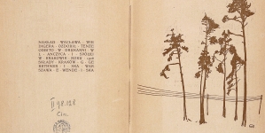 "Rozmyślania" Antoniego Langego.