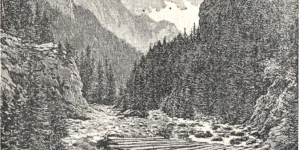 <%# $this->DataItem->marArticleFrom->title %