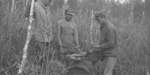 <%# $this->DataItem->marArticleFrom->title %