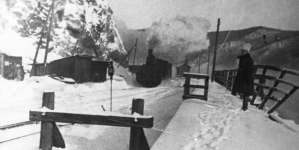 5 Dywizja Syberyjska - odwrót oddziałów wojskowych z Syberii w 1919 r.