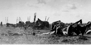 Obóz ludności polskiej wycofującej sie razem z oddziałami 5 Dywizji Syberyjskiej w 1919 r.