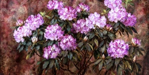 "Rododendrony" Stanisława Ejsmonda.