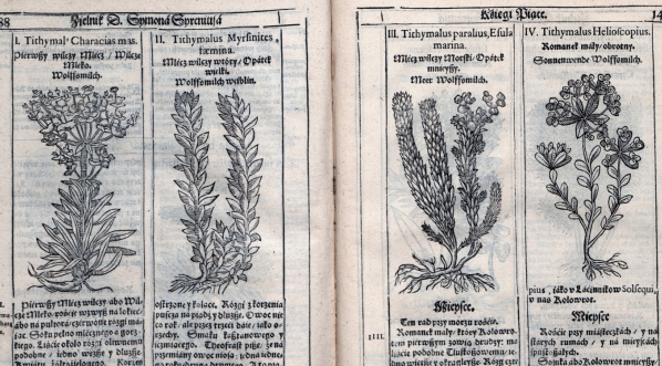  "Zielnik herbarzem z ięzyka łacinskiego zowią : to iest Opisanie własne imion, kształtu, przyrodzenia, skutkow y moc zioł wszelakich [...] polskim ięzykiem zebrany y na osmiero ksiąg rozłozony [...]" Szymona Syreńskiego.  