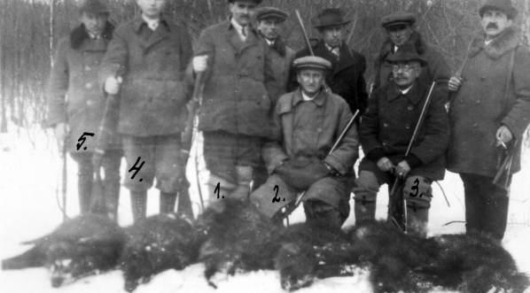  Polowanie na dziki w majątku hrabiego Wojciecha Gołuchowskiego w Janowie 26.01.1931 r.  