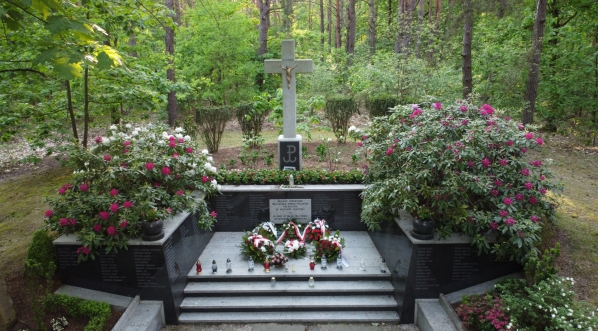  Pomnik na miejscu straceń w Lesie Sękocińskim w Magdalence.  