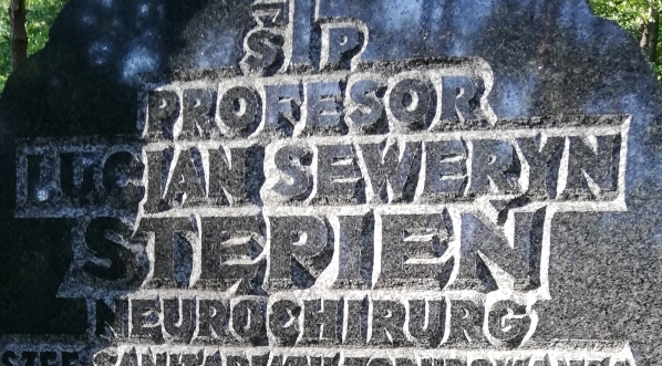 Grób prof. Lucjana Seweryna Stępnia na cmentarzu Zakładu dla Niewidomych w Laskach pod Warszawą.  