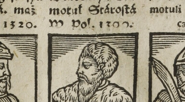  Wincenty z Szamotuł, Starosta Wielkopolski.  