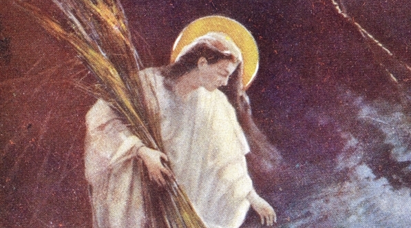  "Legenda o Matce Boskiej :  Ostatnie kłosy" Piotra Stachiewicza.  