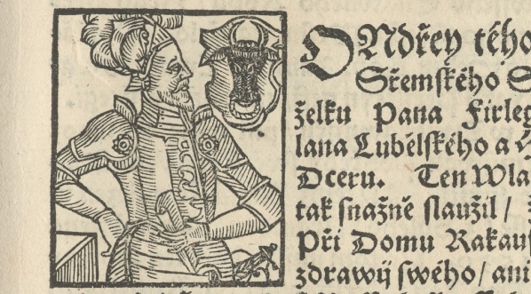  Andrzej Leszczyński, Wojewoda Brzeski Kujawski.  