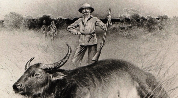  „Pierwszy bawół” -  ilustracja z książki Józefa Mikołaja Potockiego "Notatki myśliwskie z  Dalekiego Wschodu. 2, Cejlon".  